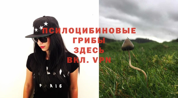 винт Мегион