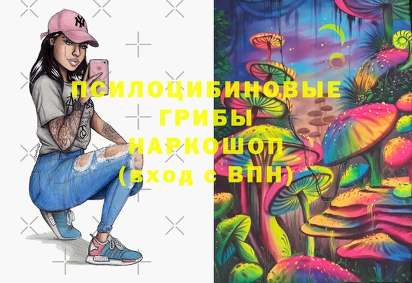 молекула духа Медногорск