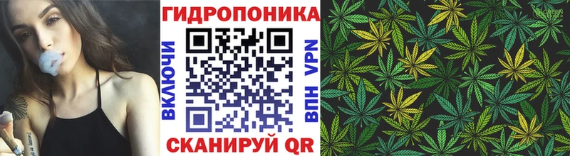Конопля White Widow Купить закладки Санкт-Петербург